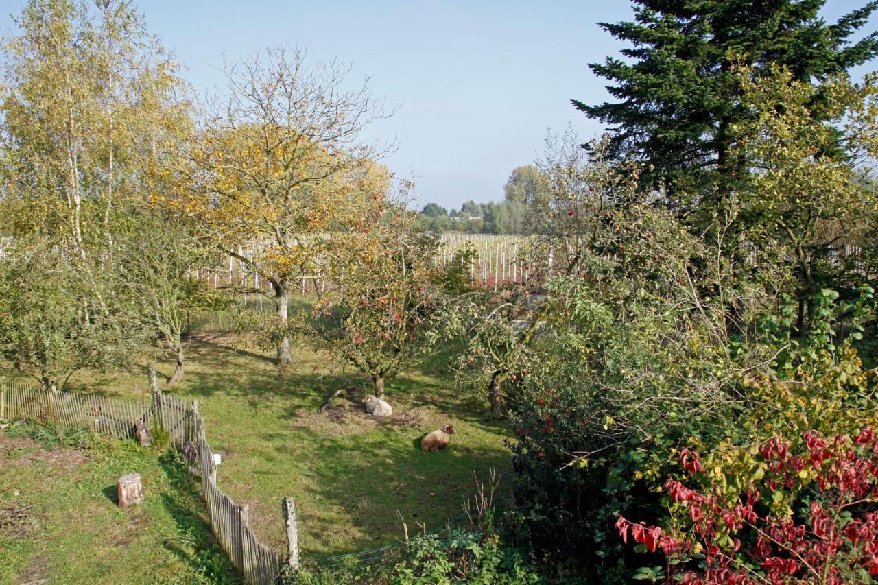 Hof Van Loverrijk Bed & Breakfast Lier Eksteriør bilde