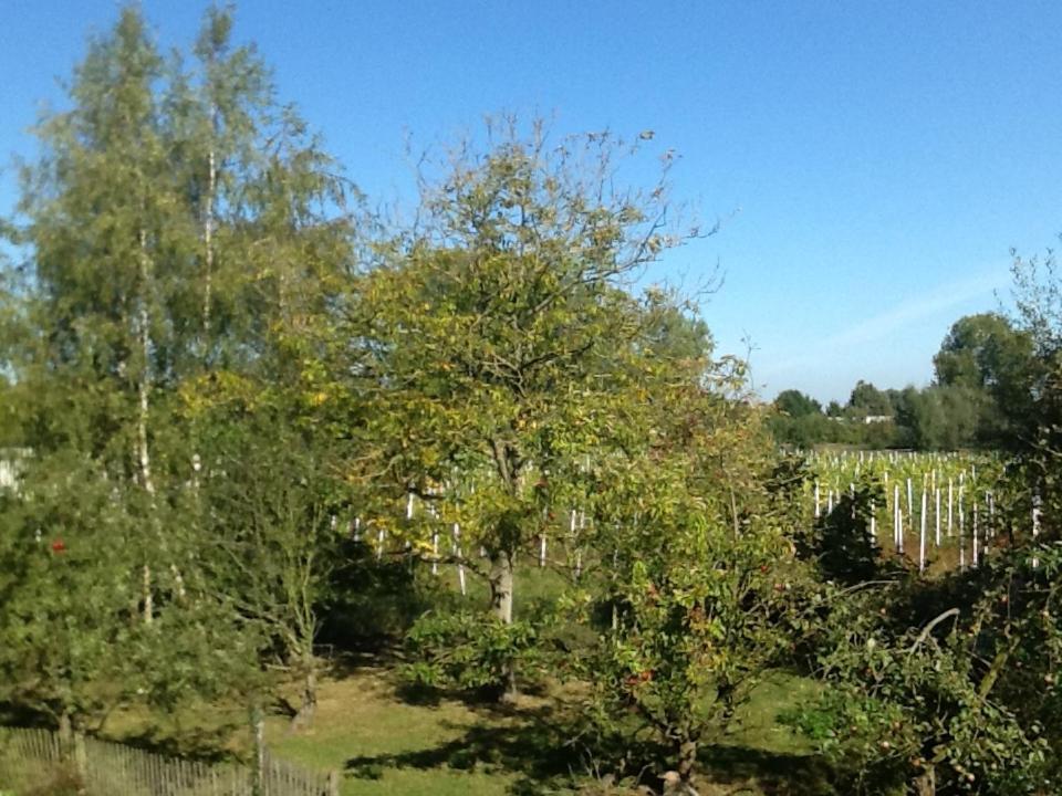 Hof Van Loverrijk Bed & Breakfast Lier Eksteriør bilde